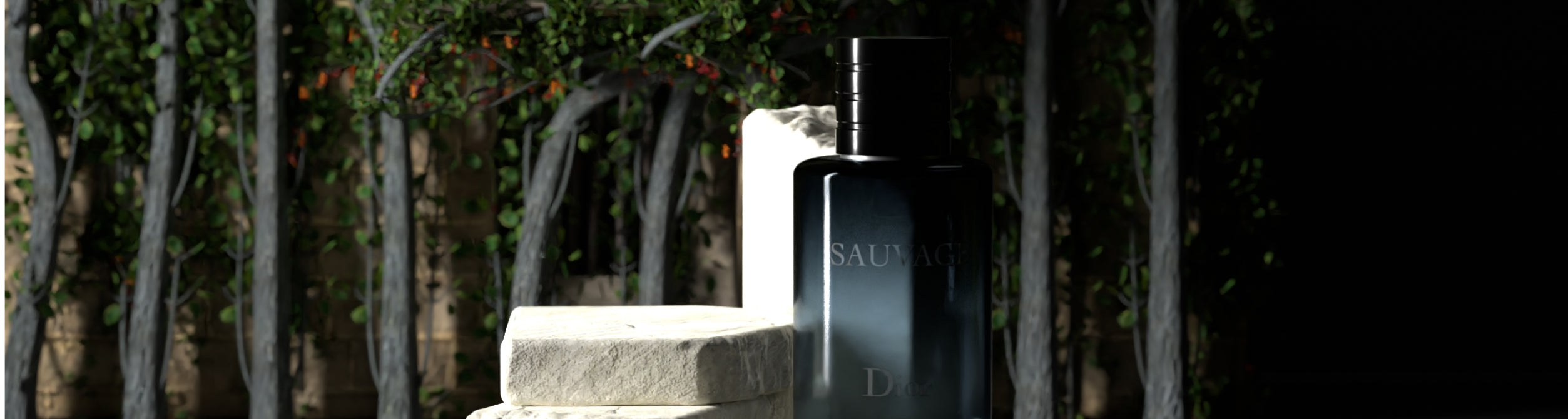 Men's Cologne